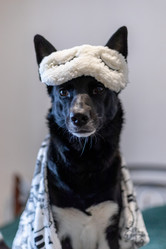 Similar image 21789154