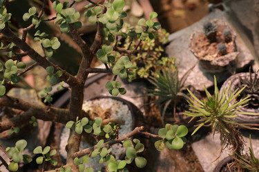 Similar image 21789155