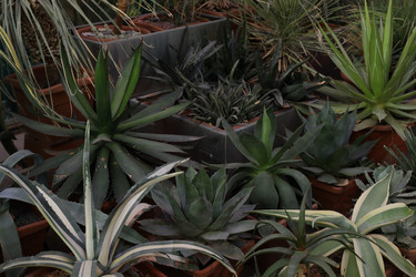 Similar image 21789156