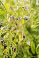 Similar image 21810346