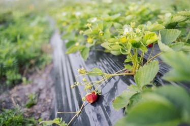 Similar image 21810375