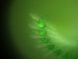 Similar image 21791667