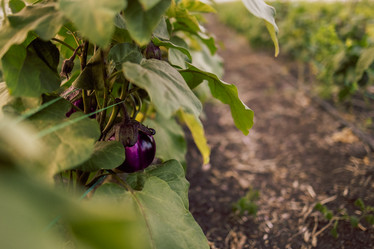 Similar image 21810398