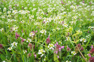 Similar image 21787051