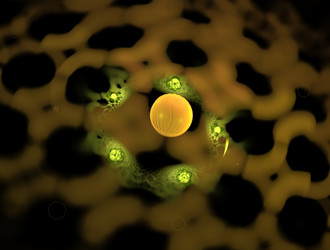 Similar image 21791647