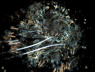 Similar image 21791648