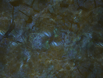 Similar image 21791688