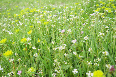 Similar image 21787054