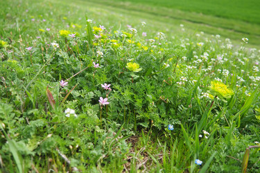 Similar image 21787056