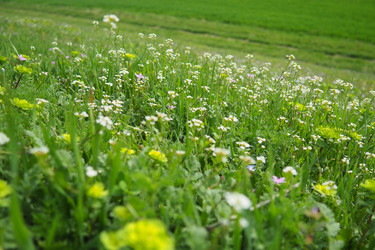 Similar image 21787071