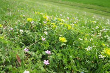 Similar image 21787072