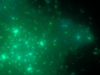 Similar image 21791693