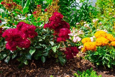 Similar image 21786940