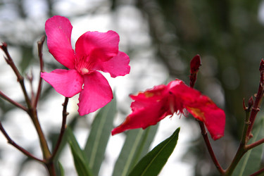 Similar image 21787270