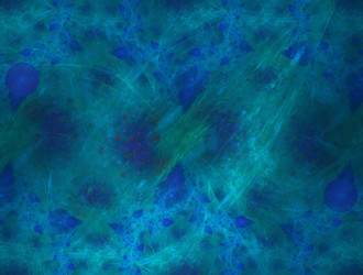 Similar image 21791474