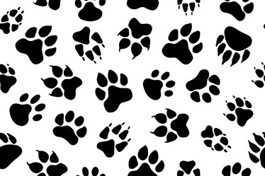 Similar image 21807471