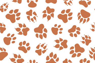 Similar image 21807472