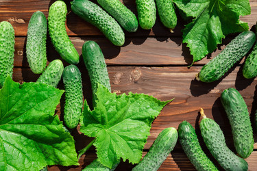 Similar image 21789163