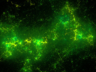 Similar image 21791403