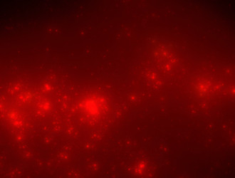 Similar image 21791475