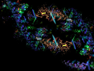 Similar image 21791793