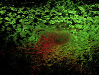 Similar image 21791815