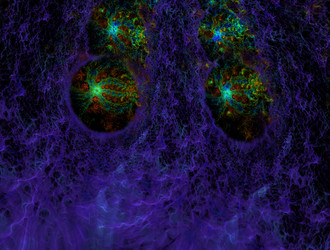 Similar image 21791818