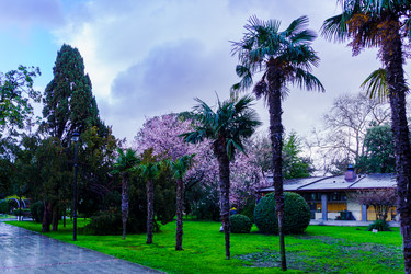 Similar image 21792507