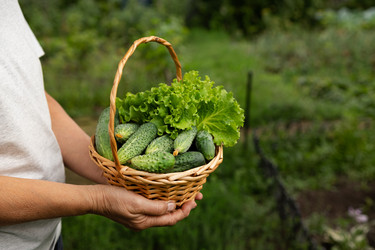 Similar image 21790487