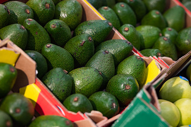 Similar image 21790492