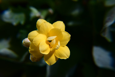 Similar image 21790493