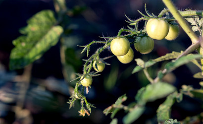 Similar image 21790496