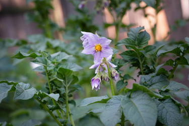 Similar image 21790497