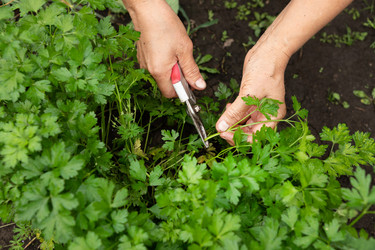 Similar image 21790498