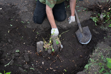 Similar image 21790499