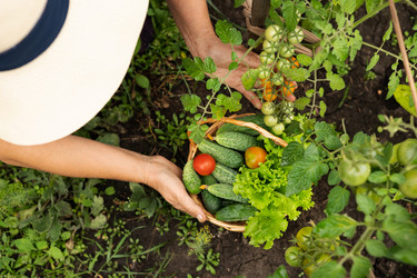 Similar image 21790500