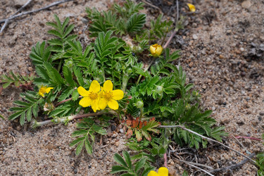 Similar image 21790501