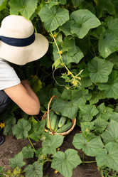 Similar image 21790502