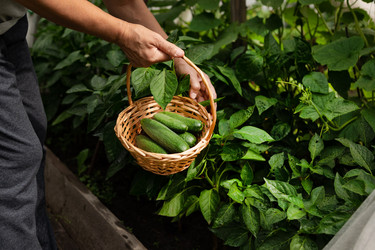 Similar image 21790504