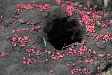 Similar image 21790516