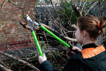 Similar image 21790531