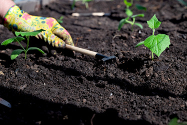 Similar image 21790532