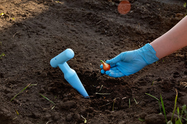 Similar image 21790533