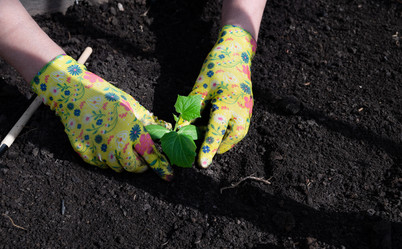 Similar image 21790534