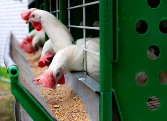 Similar image 21790537