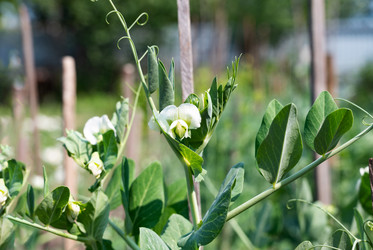 Similar image 21790538