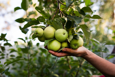 Similar image 21790541