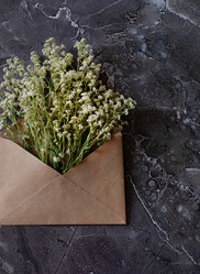 Similar image 21790543