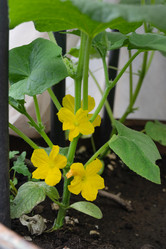 Similar image 21790544