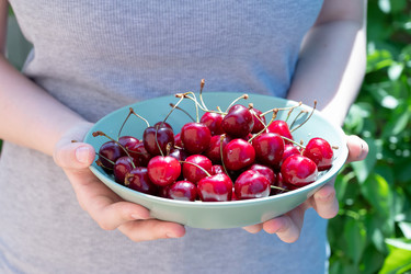 Similar image 21790550